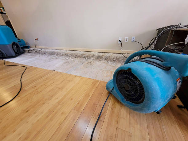 Professional Water Extraction technician working in Irvington, KY